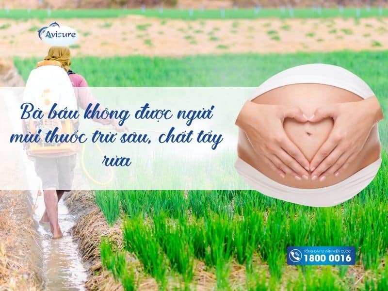 Mùi thuốc trừ sâu, mùi chất tẩy rửa - Bà bầu không được ngửi